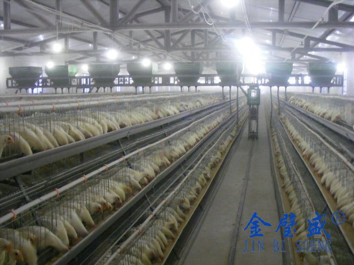 A���A��ʽ�\3