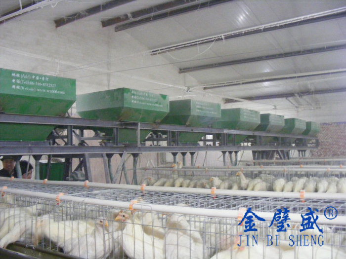 �A��ʽ�B(y��ng)�u�O(sh��)��-���u4