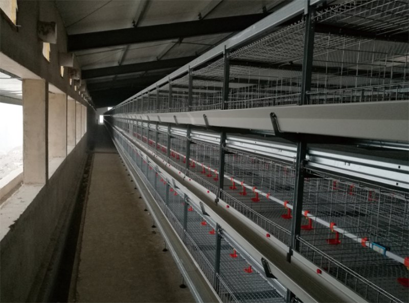 ȫ�Ԅ��B(y��ng)�u�O��-���u