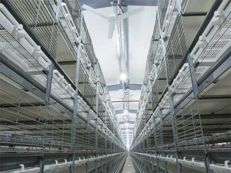 ȫ�Ԅ��B(y��ng)�u�O��-���u