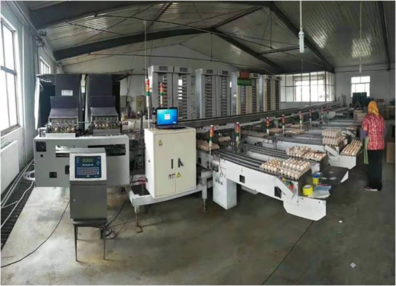 ȫ�Ԅ�(d��ng)��Ʒ���b�O(sh��)��