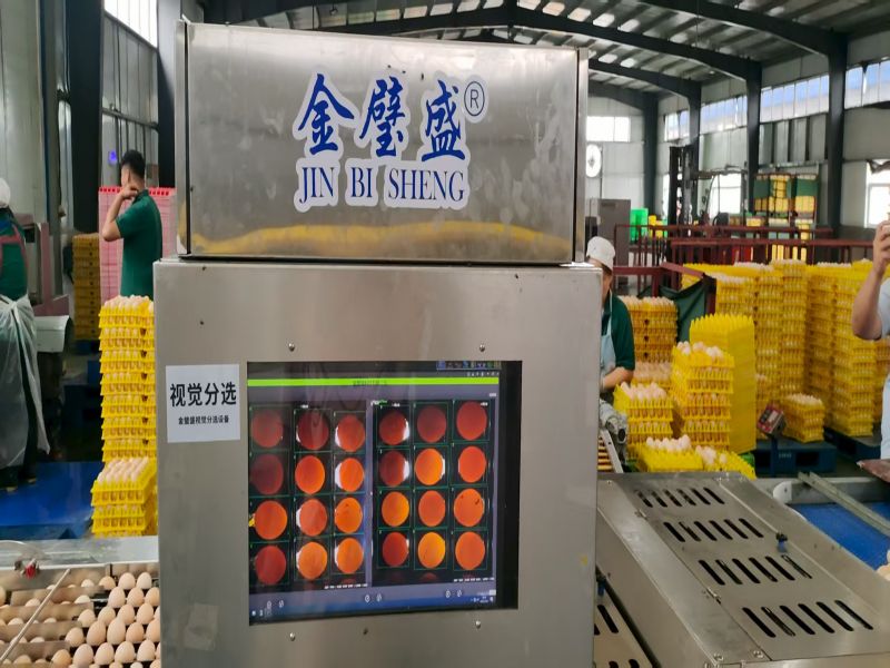 AI����ҕ�X�z�y(c��)